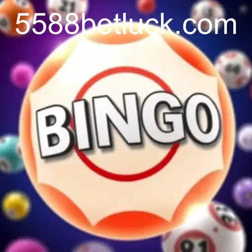 The Allure and Evolution of Bingo Games